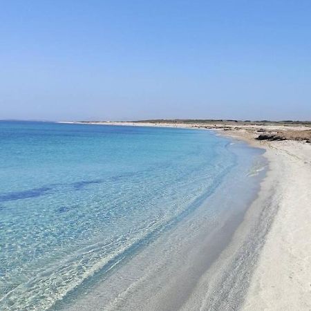 לינה וארוחת בוקר Càbras Su Marineri מראה חיצוני תמונה