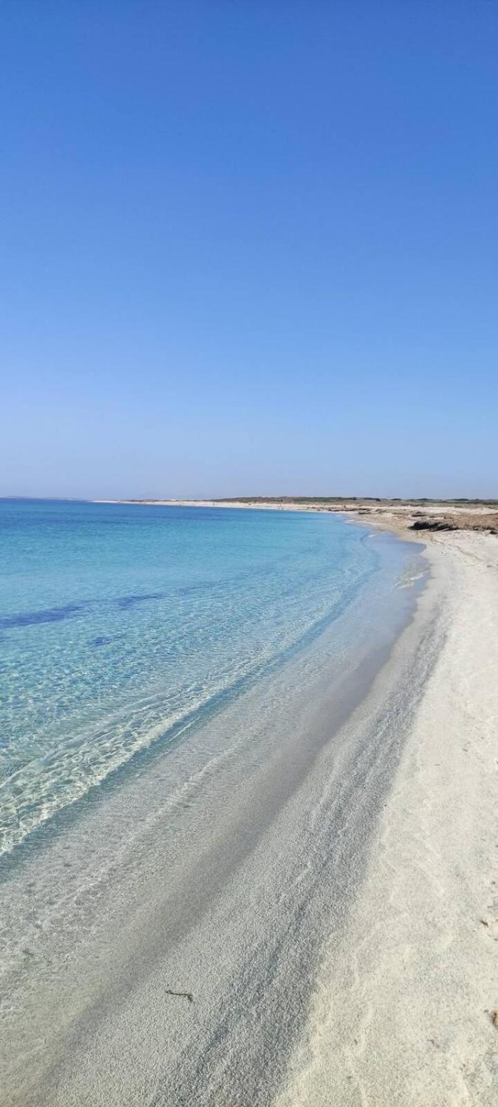 לינה וארוחת בוקר Càbras Su Marineri מראה חיצוני תמונה